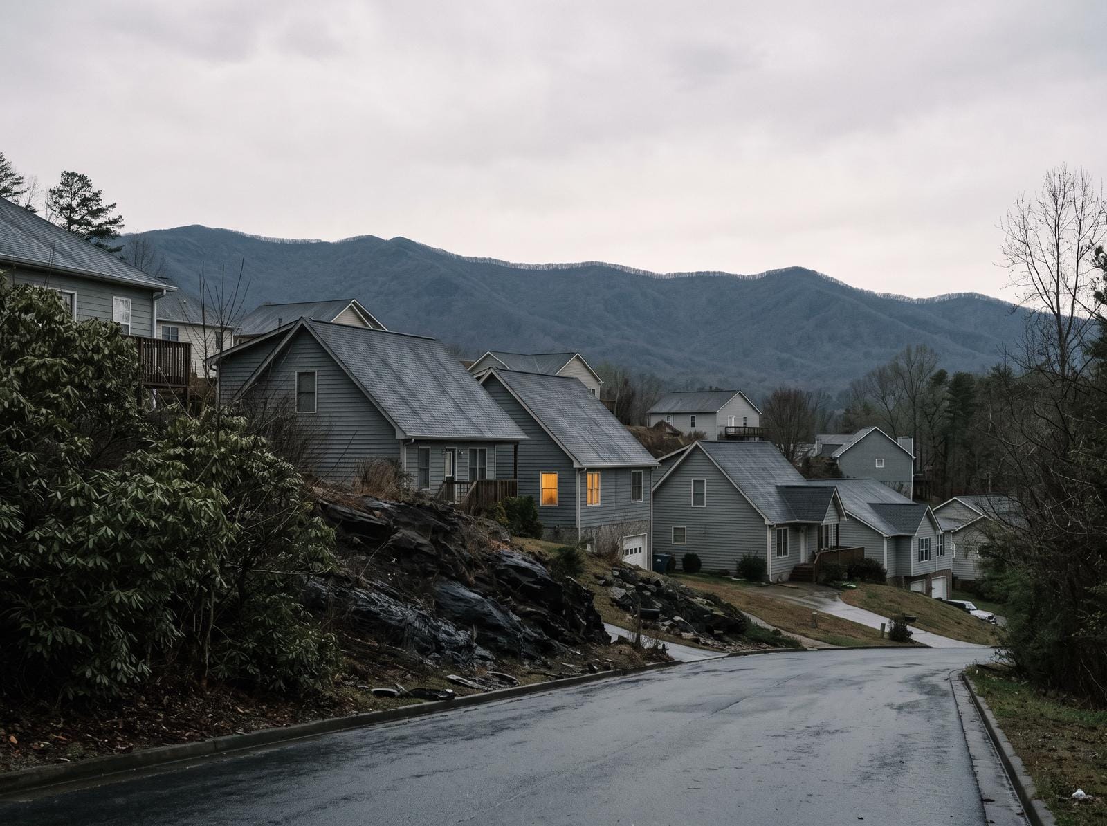 Houses on a steep hillside lot with a long blue ridge behind them. Typical of the housing stock around Jasper.